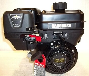 Briggs and stratton vanguard 6.5hp with 6:1 gear reduction (600 rpm)