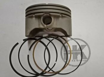 591284 Piston Assembly Standard For Briggs & Stratton 122Q02