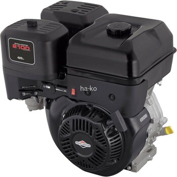 Series 2100, Briggs & Stratton 420cc, Dura bore Model 25T200